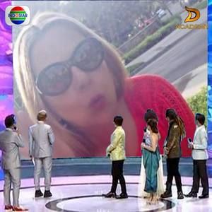 Meet your Posher, Palmi